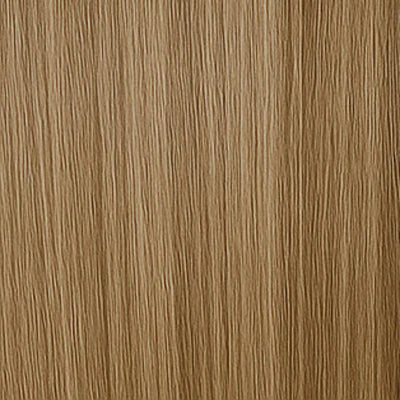 Tape Extensions - #11/1001 Asch-Mix