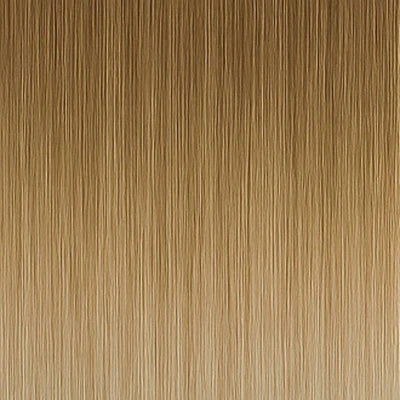 Long Lasting Tape Extensions - #11/1001 Balayage