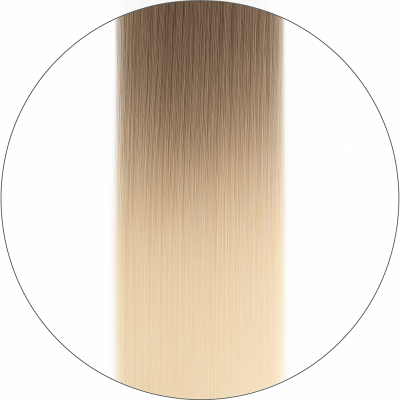 Nail hair Single drawn - #11/1001Balayage Balayage