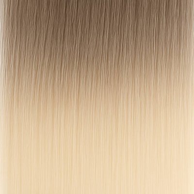 #11/1001 Balayage (Färgprov)