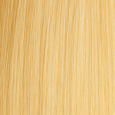 Ponytail - #24 Blond