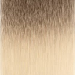 #11/1001 Balayage (Farbmuster)