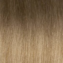 #8/18 Balayage (Farbmuster)