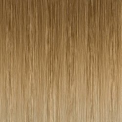 #11/1001 Balayage (Farbmuster)