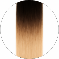#1/6001 Balayage, 50cm, 50g, Bondings, Single drawn