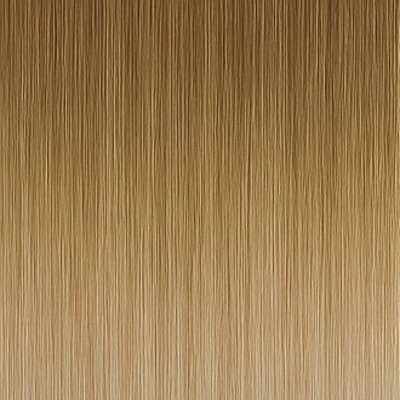 #11/1001 Balayage (Farbmuster)