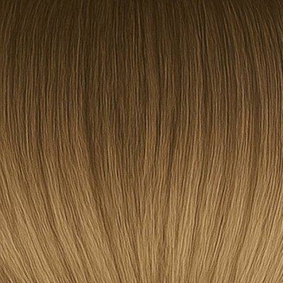 #8/18 Balayage (Farbmuster)